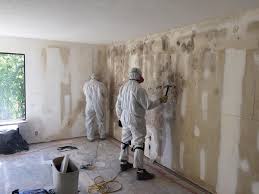 Best Commercial Mold Inspection  in Lake Winnebago, MO